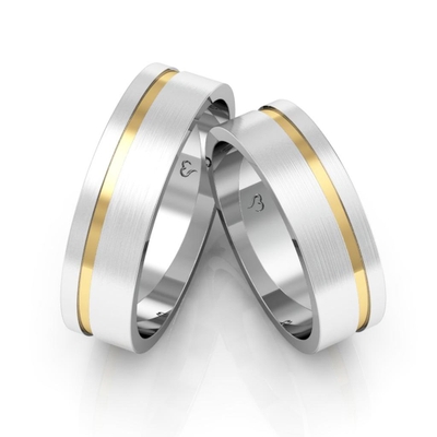Alianças Namoro Ouro E Prata Foscas 6 mm 12g