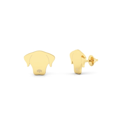 Brinco Pet Cachorro Ouro 18k