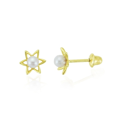 Brincos Ouro 18K Flor Vazada E Pérola