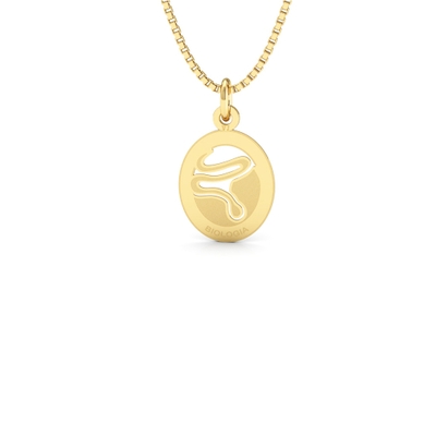 Pingente Formatura Biologia Ouro 18k Pequeno