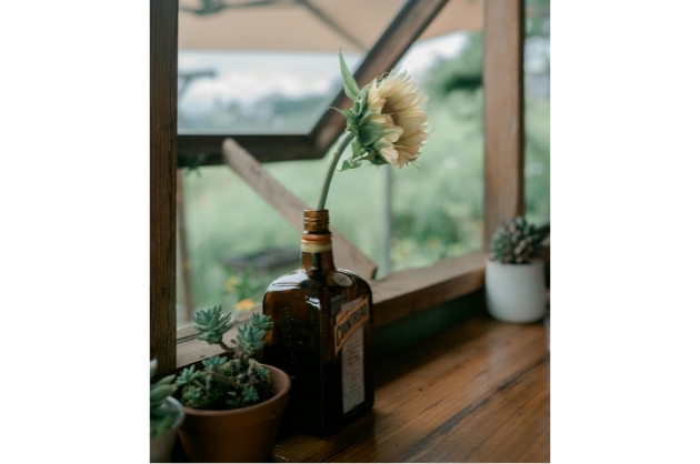 Enfeite para casamento rústico, garrafa de bebida que serve de vaso para grande margarida